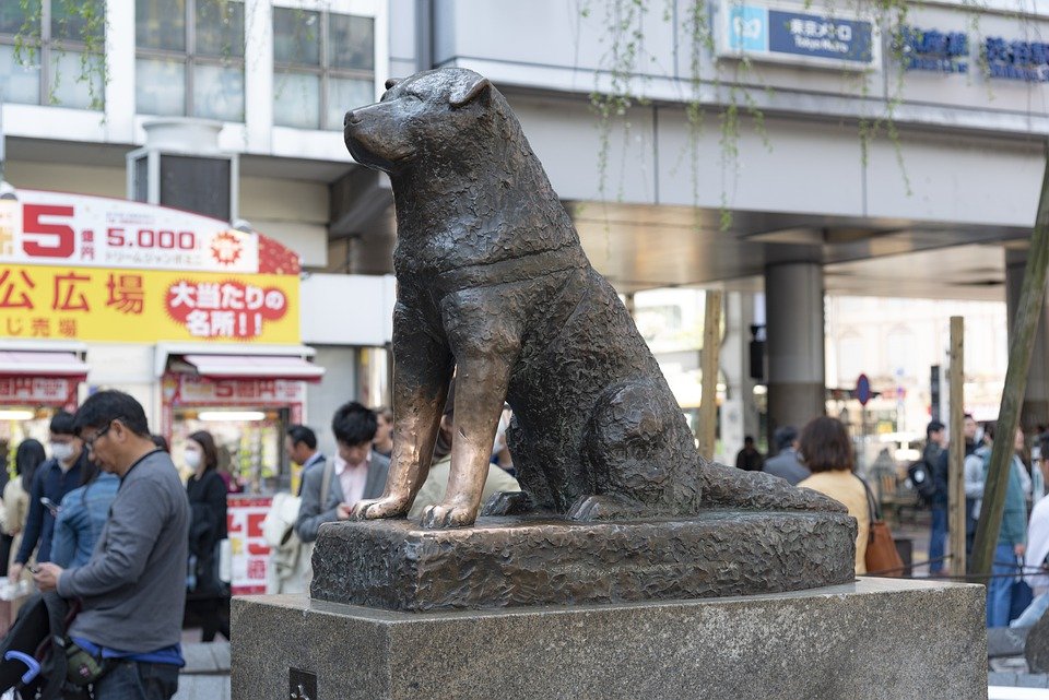 Estatua de Hachiko en la estación del tren de Shibuya, en Japón. | Foto: Pixabay