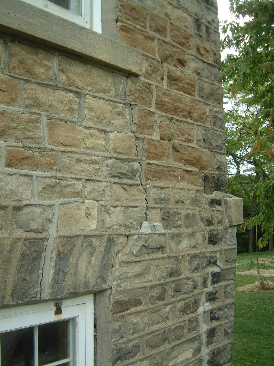 Image Credit: Wikimedia Commons