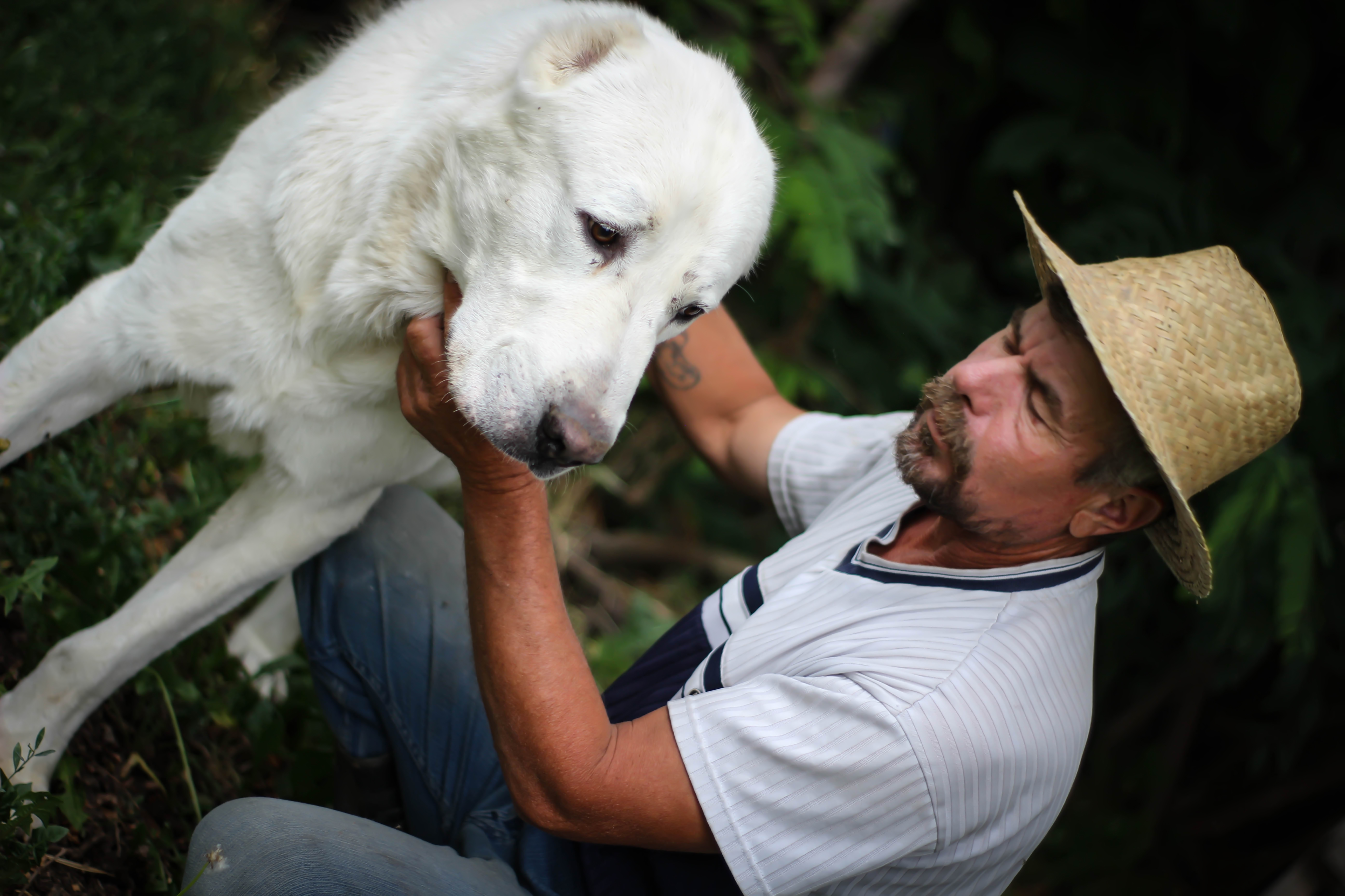 Um homem com seu cachorro | Fonte: Getty Images