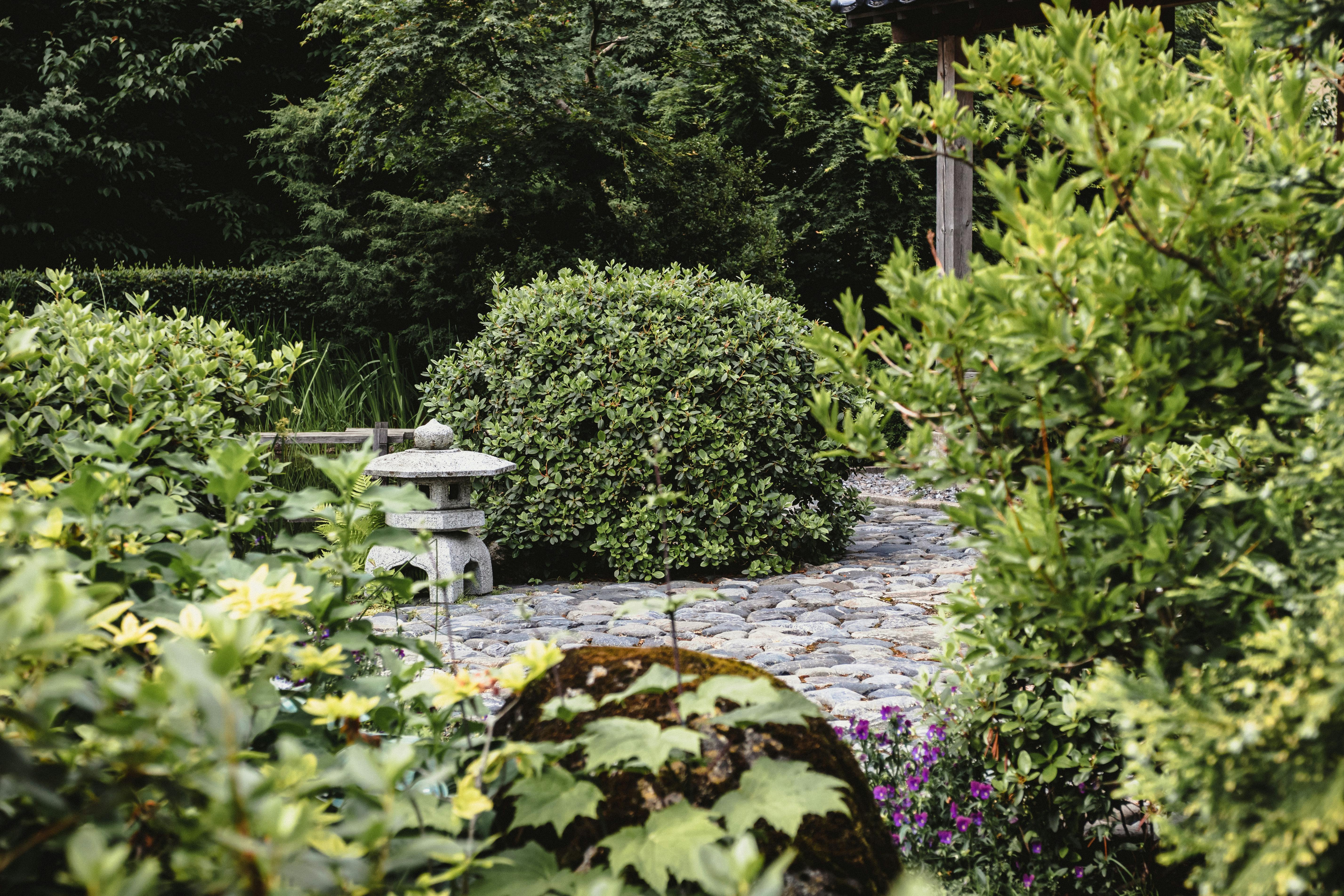 A Japanese-themed garden | Source: Pexels