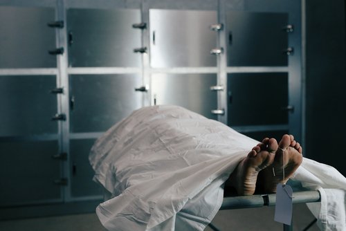 Morgue| Foto: Shutterstock Morgue| Foto: Shutterstock