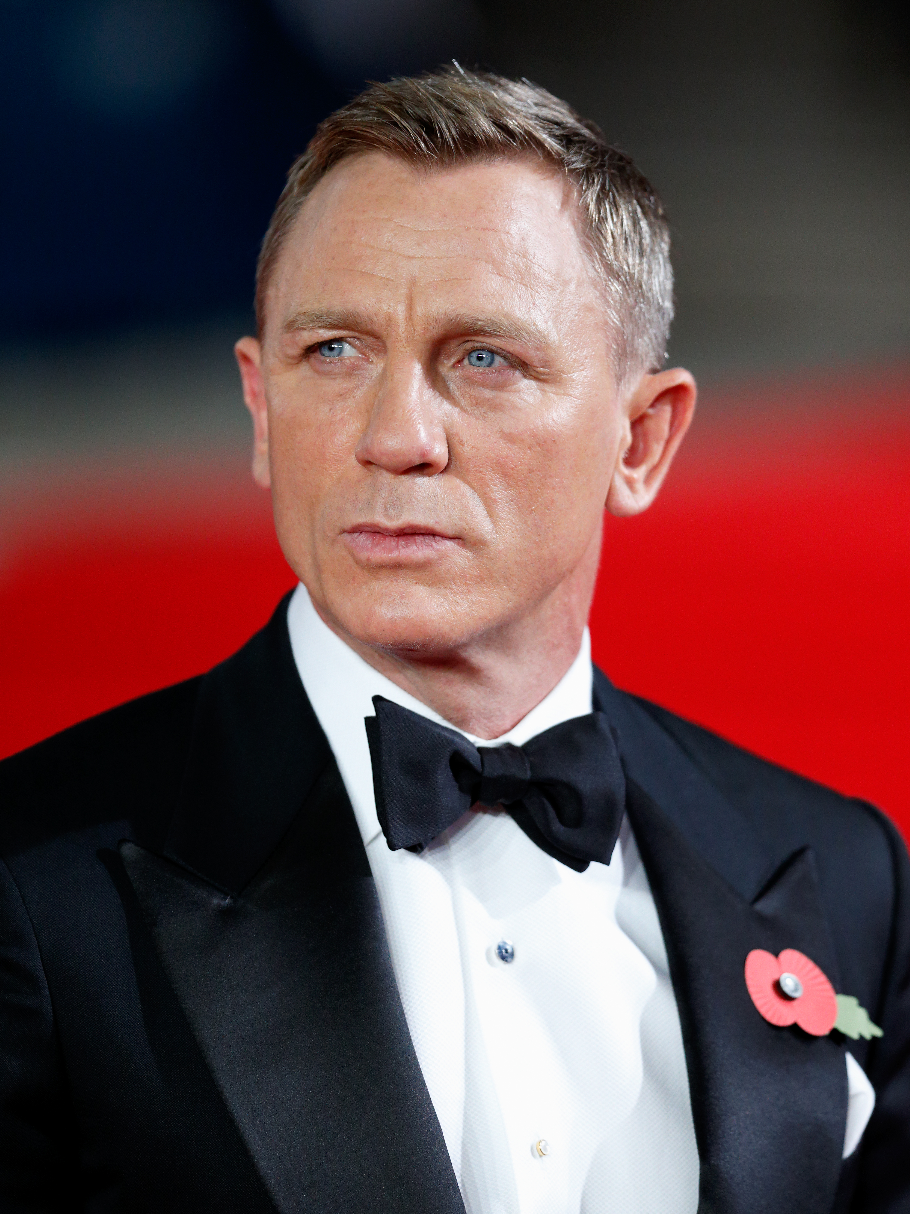 Daniel Craig attends the Royal Film Performance of "Spectre" at The Royal Albert Hall on October 26, 2015 in London, England. | Source: Getty Images