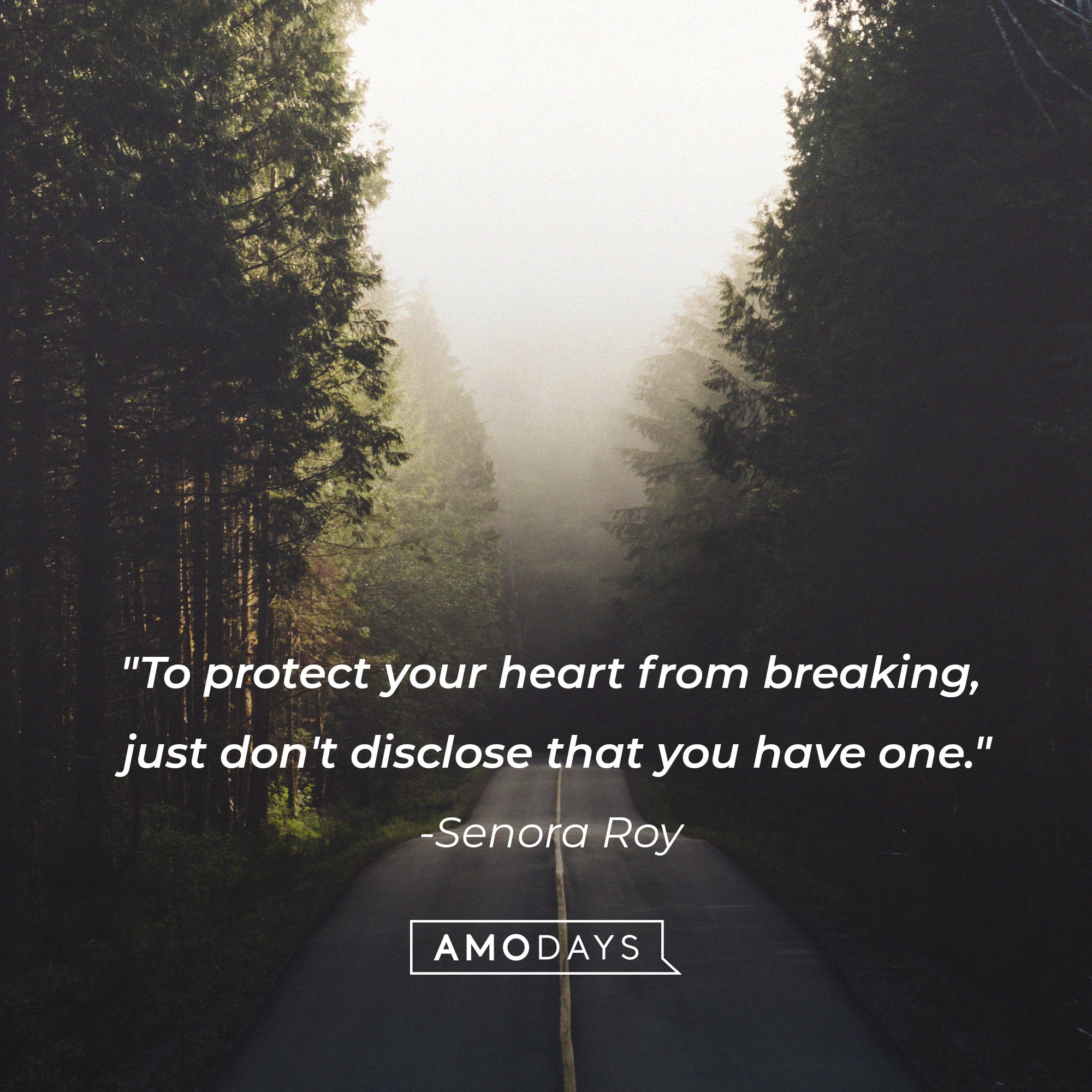 Senora Roy's quote: "To protect your heart from breaking, just don't disclose that you have one." | Image: AmoDays