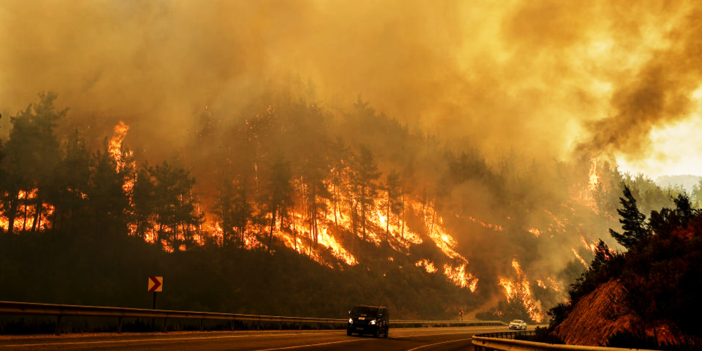 Wildfire engulfs mountains and trees | Source: Getty Images