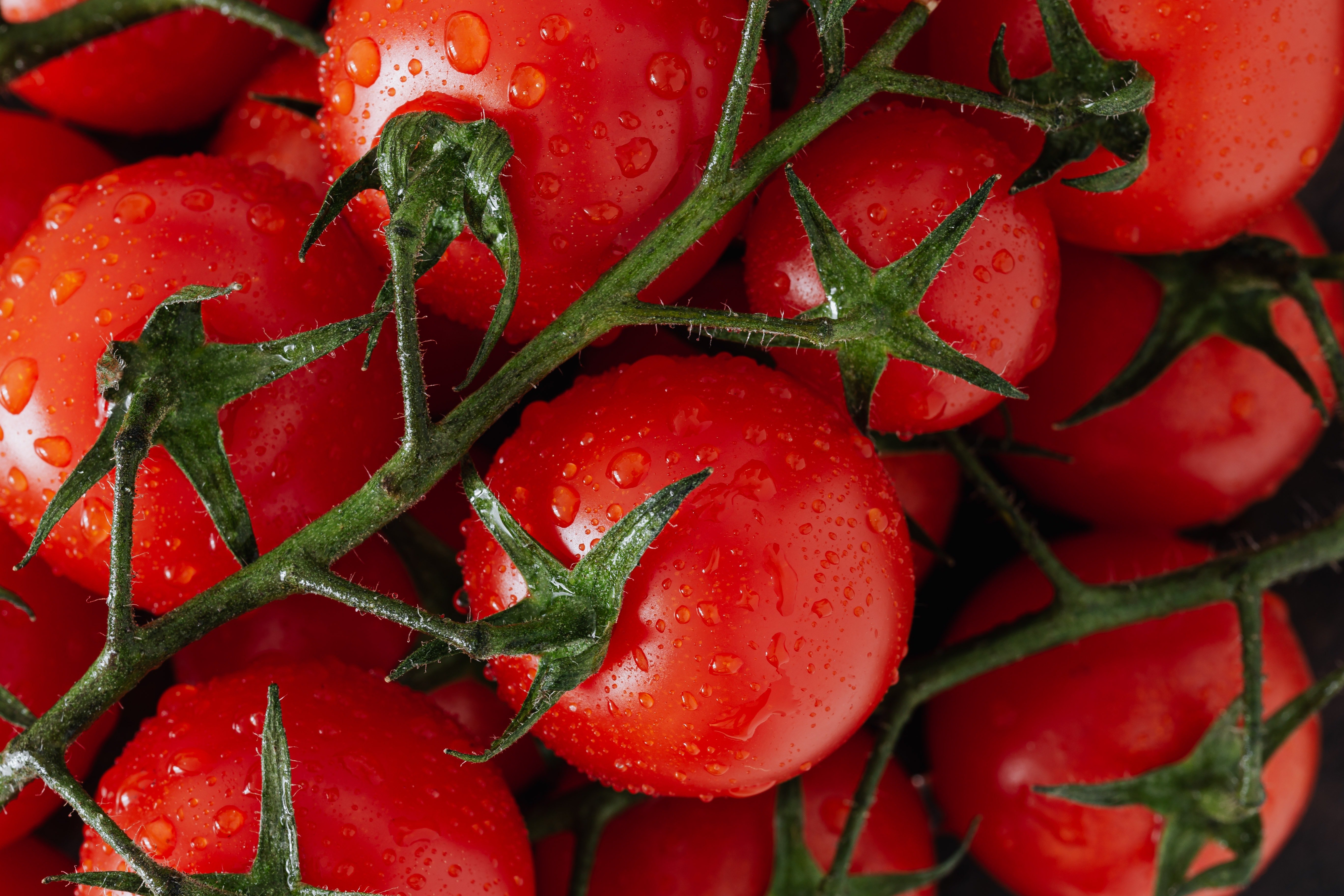 Des tomates. | Photo : Pexels Des tomates. | Photo : Pexels