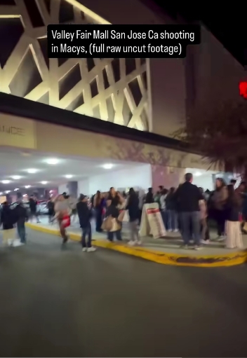 Shoppers were seen crowding outside Westfield Valley Fair after fleeing the building in panic. Moments earlier, gunfire had erupted inside the packed shopping centre, forcing people to run or shelter wherever they could. The chaos left many stranded and unsure of where to go next. | Source: TikTok/mobilemike