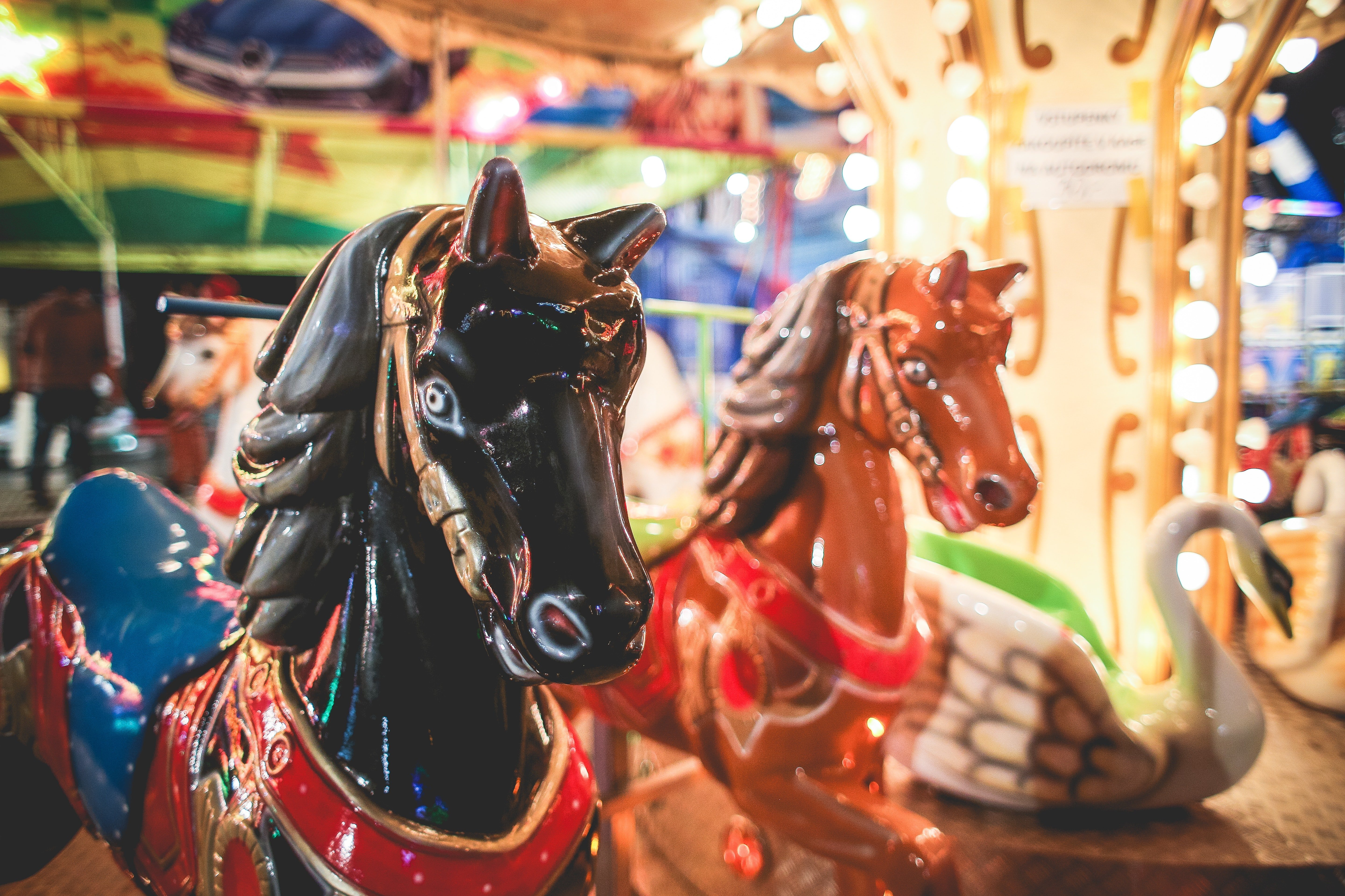 Kevin enjoyed the carousel at the amusement park. | Source: Pexels 