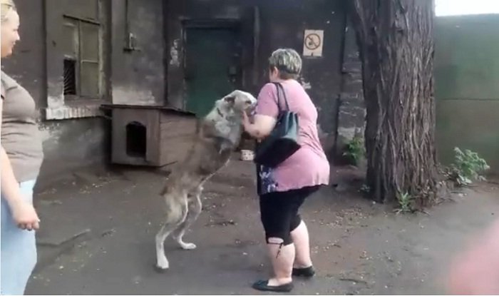 Mujer y su perro se reencuentran después de dos años. | Foto: Facebook/schastlivie.zhivotnie Mujer y su perro se reencuentran después de dos años. | Foto: Facebook/schastlivie.zhivotnie