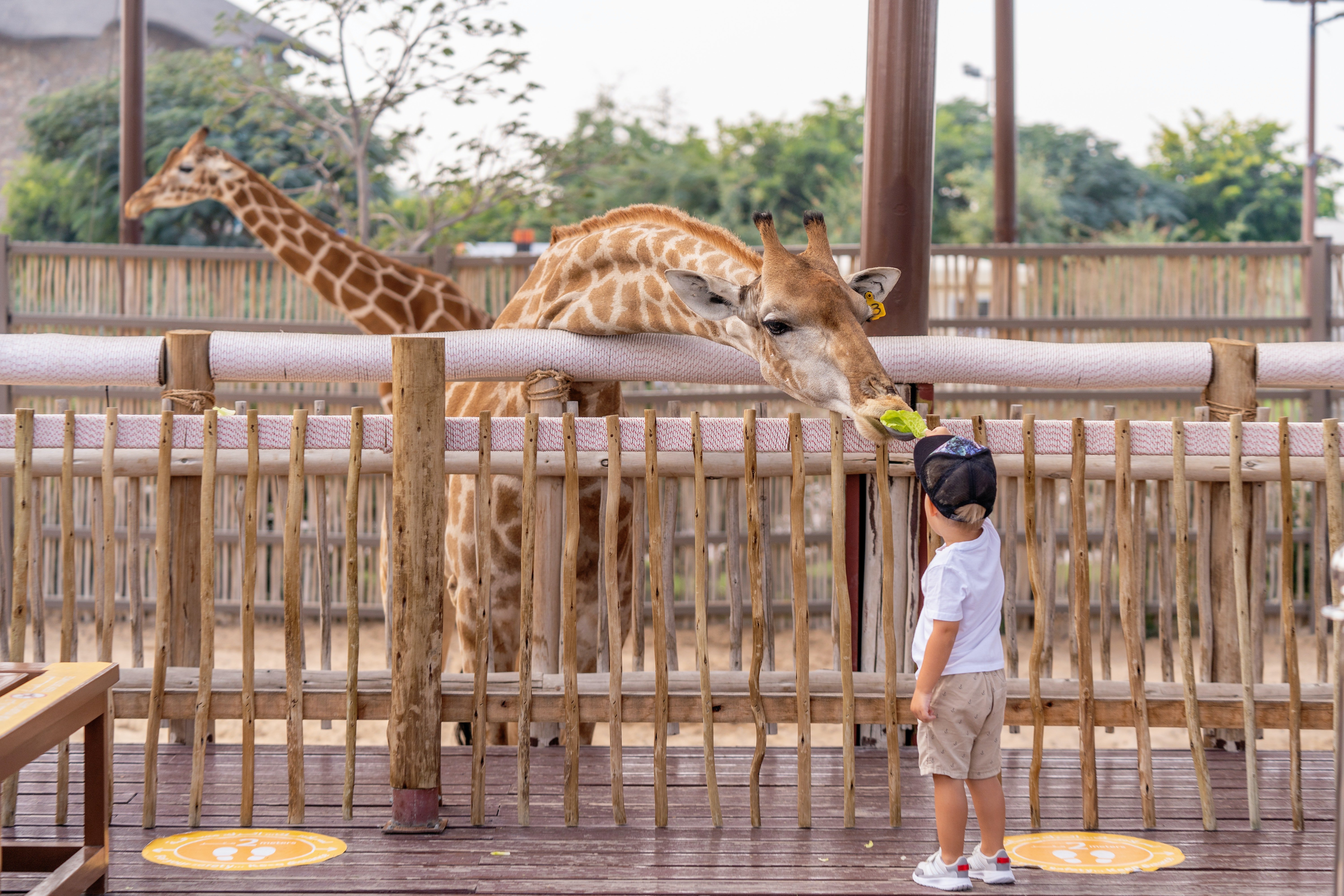 The family enjoyed their day at the zoo and went home with happy hearts. | Source: Pexels