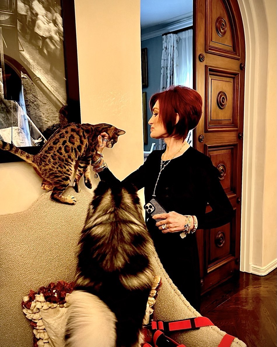 Sharon Osbourne from a post dated July 14, 2024. | Source: Instagram/sharonosbourne