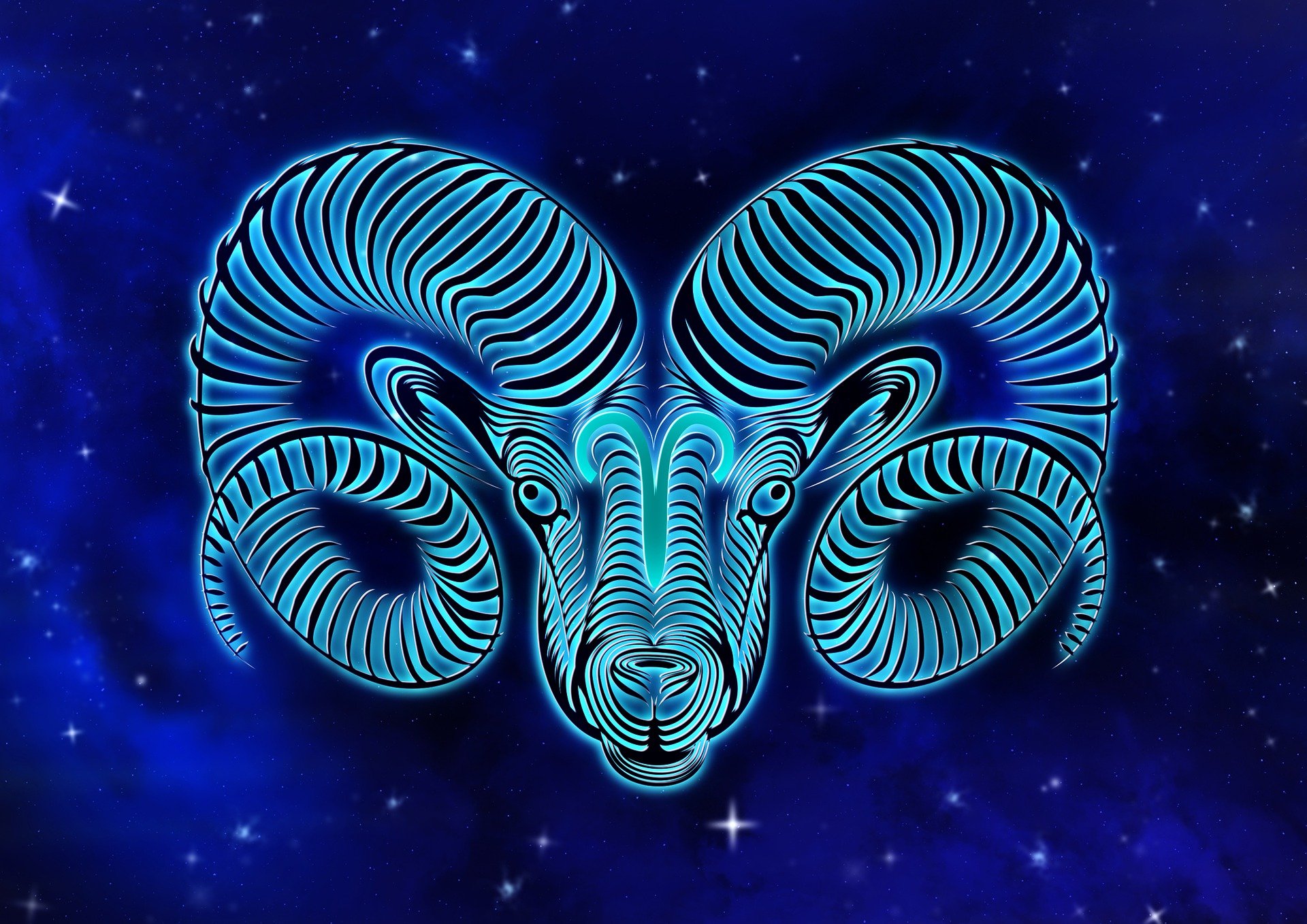 Find Out the Spirit Animal That Matches Your Zodiac Sign — From Dolphins to  Elephants