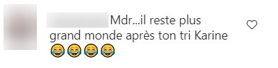 Capture d'un commentaire sur le post de Karine Le Marchant. | Photo : Instagram
