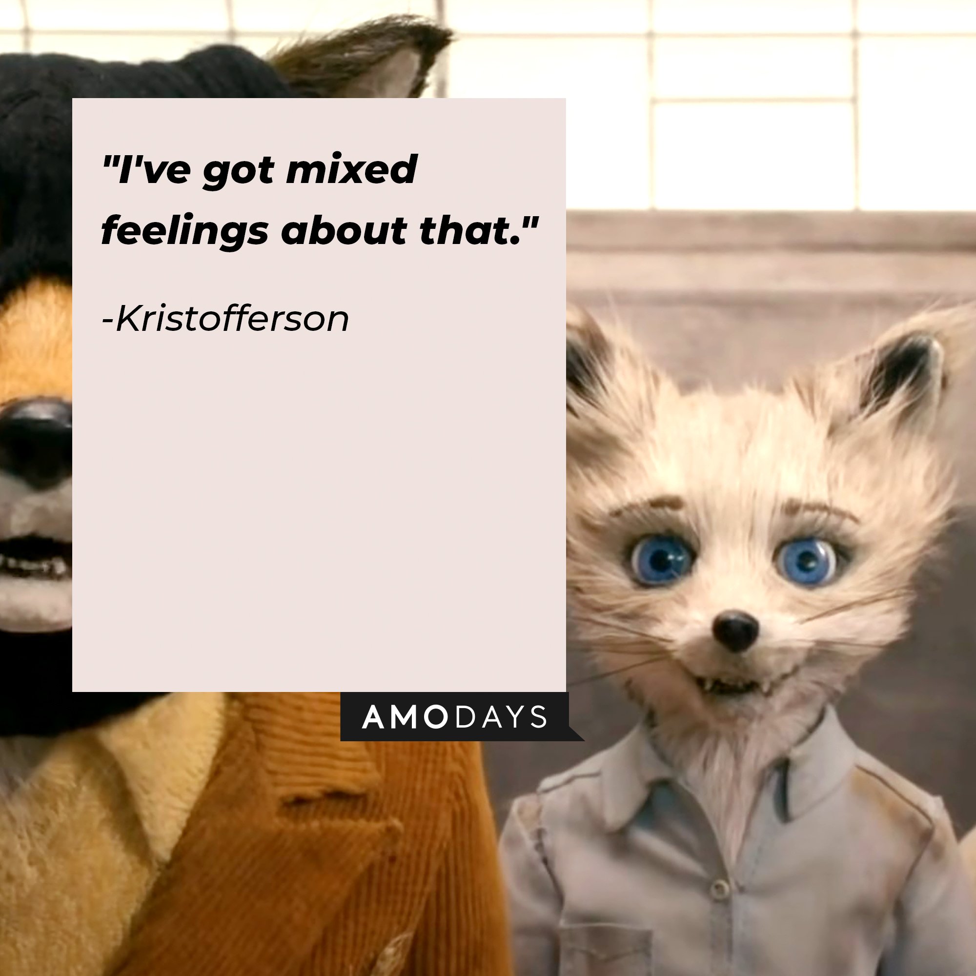 Kristofferson’s Quote: "I've got mixed feelings about that." | Image: AmoDays