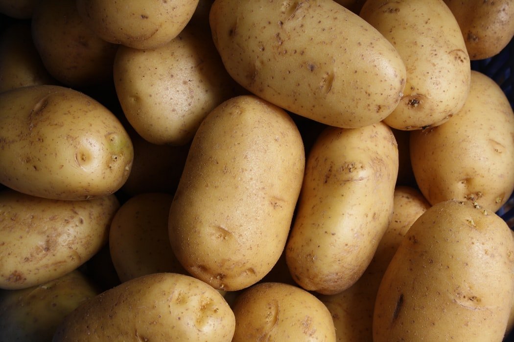 Des pommes de terre. l Source : Unsplash