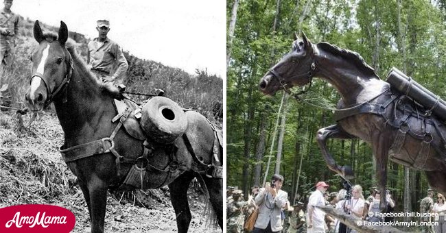 Heroic Marine horse honored for service in the Korean War