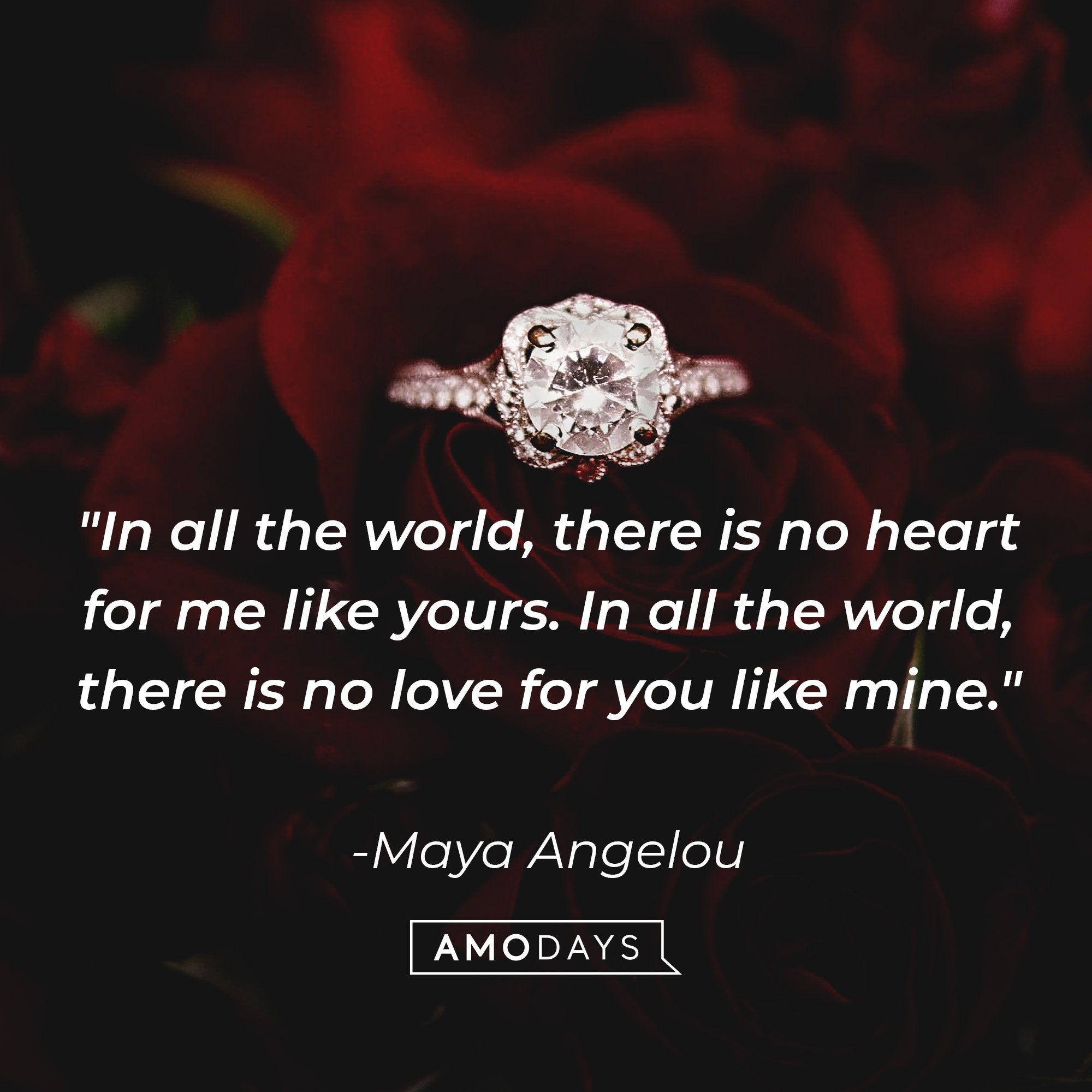 Maya Angelou's quote: "In all the world, there is no heart for me like yours. In all the world, there is no love for you like mine." | Image: AmoDays