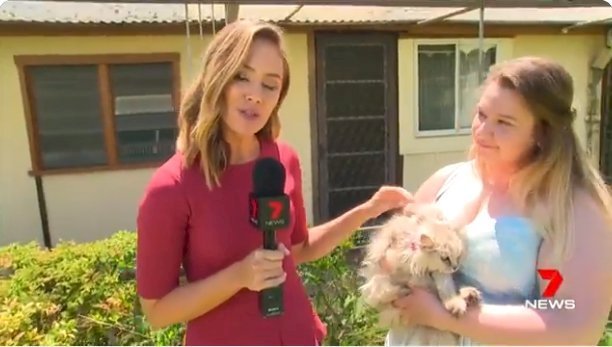 Source : Twitter/7 news Adelaide