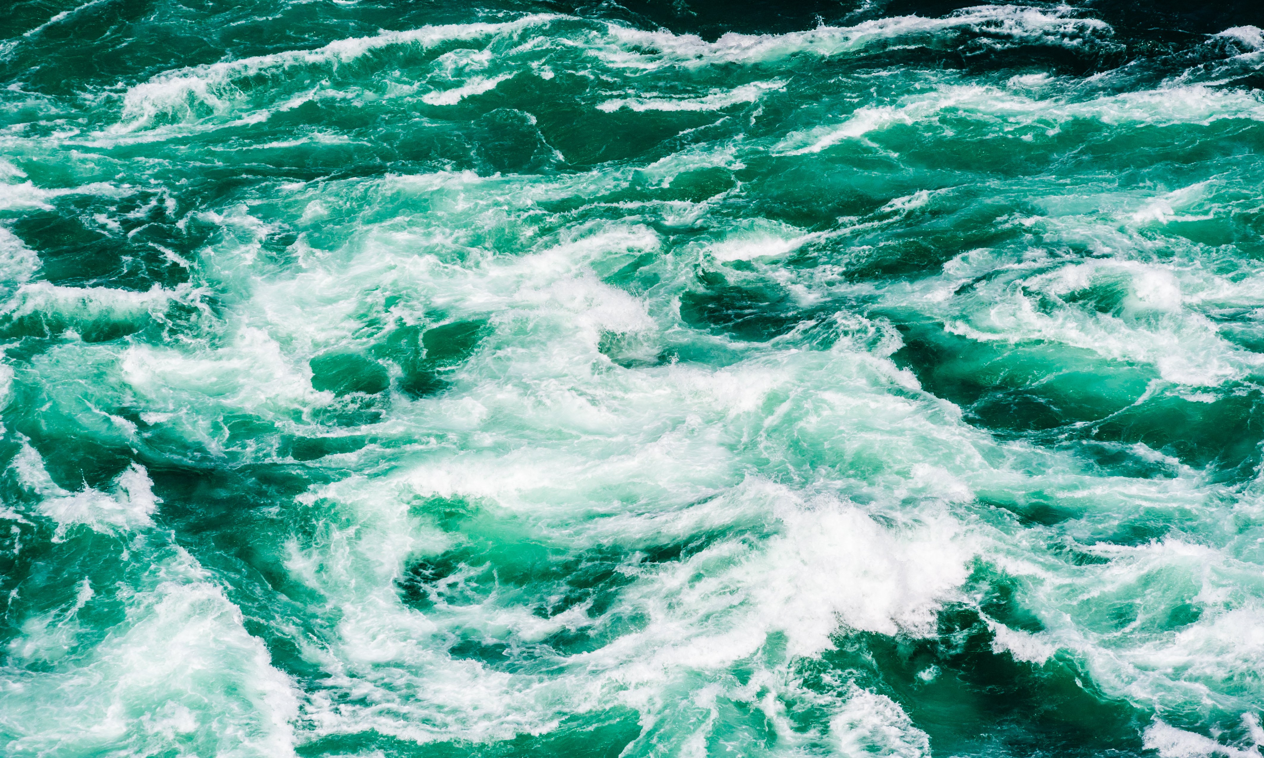 Image source: shutterstock
