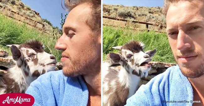 Man gets into a heated argument with a baby goat (video)