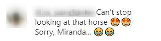 Screenshot of a comment from Miranda Lambert's Instagram post. | Photo: Instagram/idyllwind