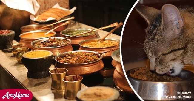 Chef caught preparing pet food at Indian restaurant