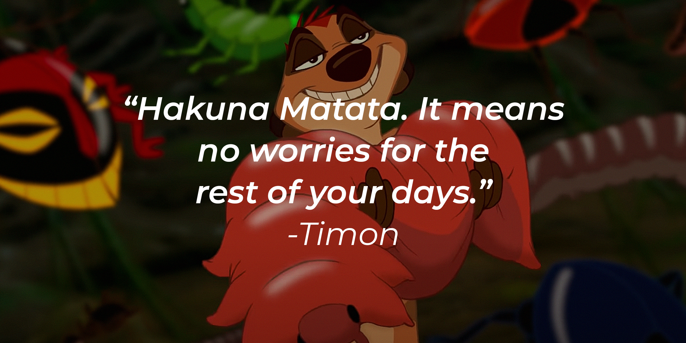 Timon with his quote: “Hakuna Matata. It means no worries for the rest of your days.” | Source: youtube.com/disneyfr
