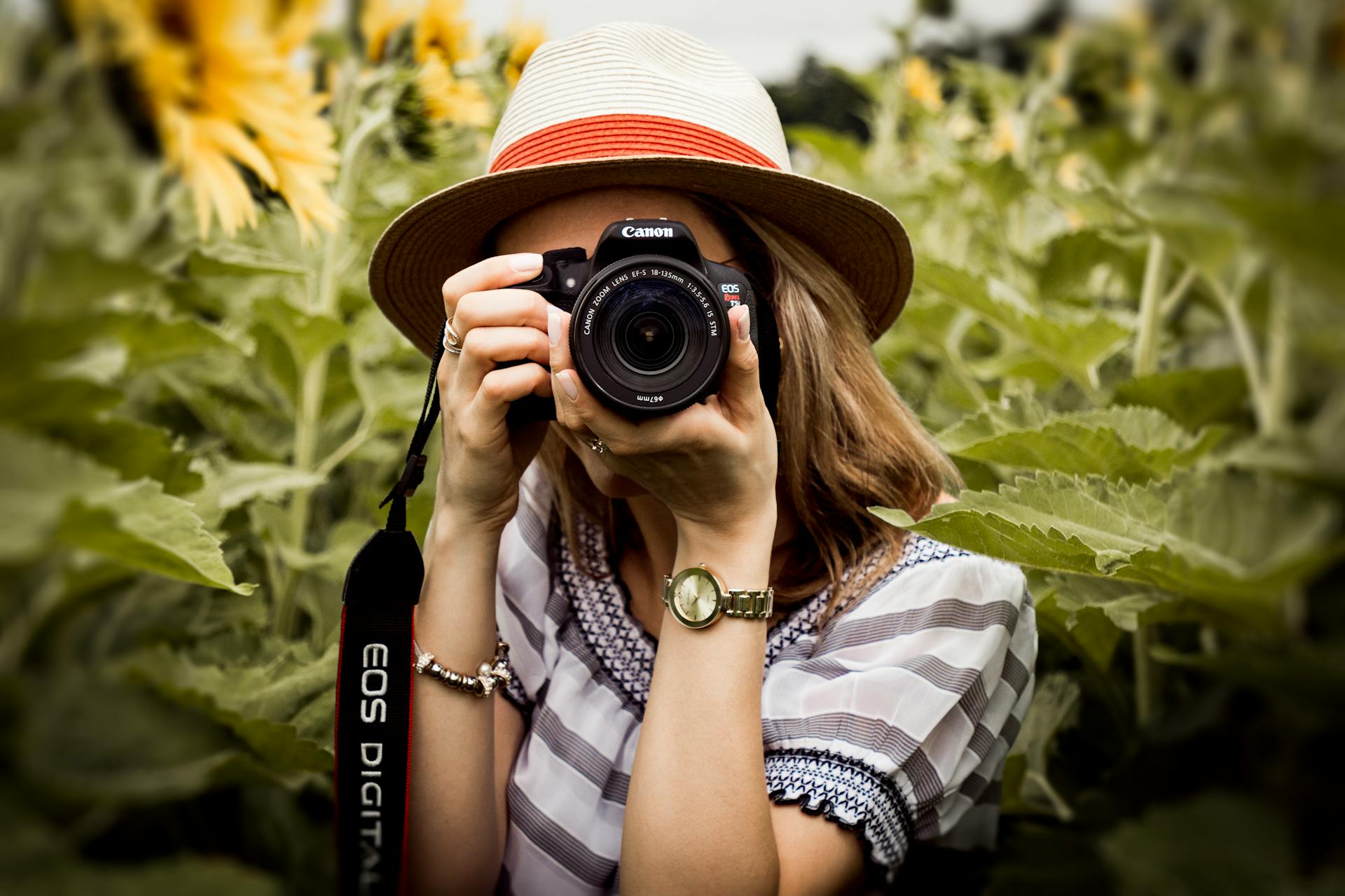 A photographer in a sunflower field | Source: Pexels