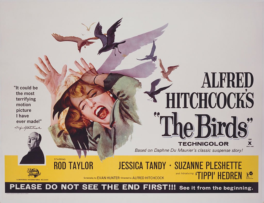 A poster for Alfred Hitchcock's 1963 horror film 'The Birds' starring Tippi Hedren on January 1, 1963 | Photo: Getty Images
