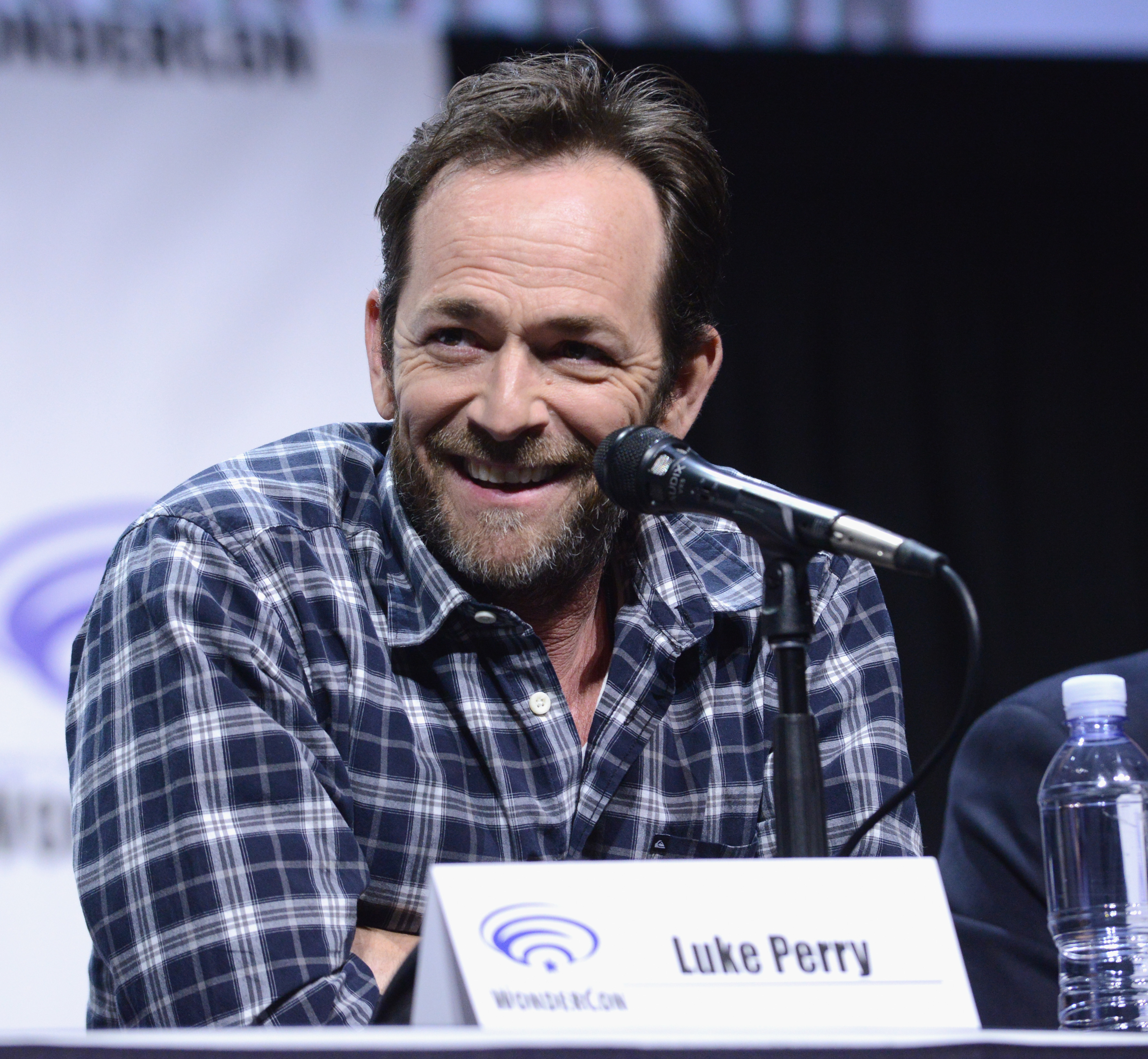 Actor Luke Perry on the "Riverdale" panel on Day 1 of WonderCon on March 31, 2017, in Anaheim, California. | Source: Getty Images