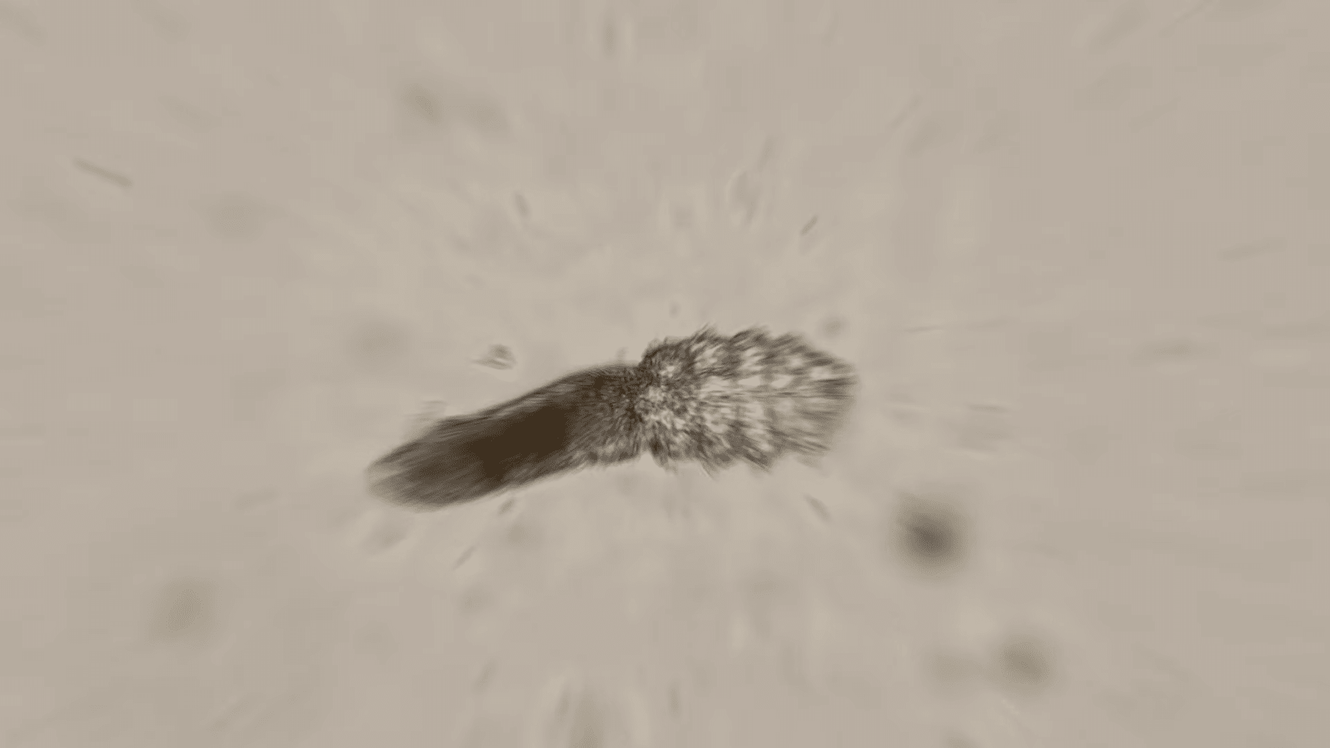Ácaro facial bajo el microscopio │Imagen tomada de: YouTube / Deep Look Ácaro facial bajo el microscopio │Imagen tomada de: YouTube / Deep Look