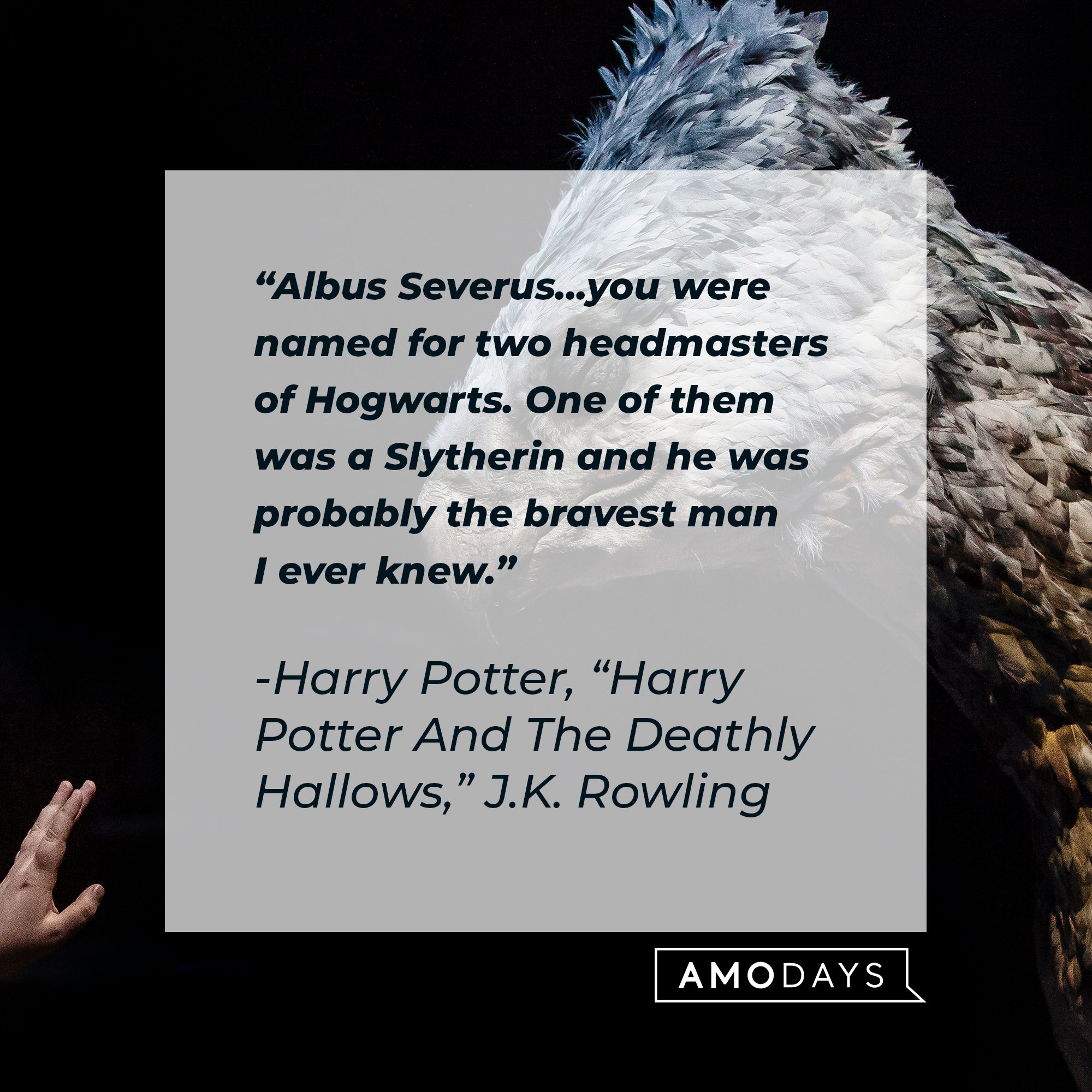 Harry Potter’s quote from “Harry Potter and the Deathly Hallows”: “Albus Severus...you were named for two headmasters of Hogwarts. One of them was a Slytherin, and he was probably the bravest man I ever knew.” | Image: AmoDays