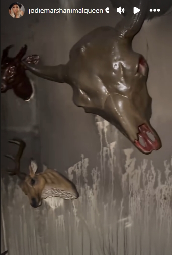 Wall-mounted animal sculptures were seen covered in soot, with white residue from fire extinguishers trailing down the walls beneath them. | Source: Instagram/jodiemarshanimalqueen