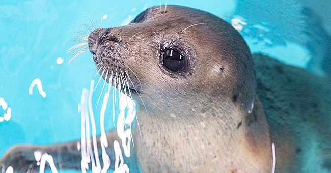 facebook.com/nationalaquarium