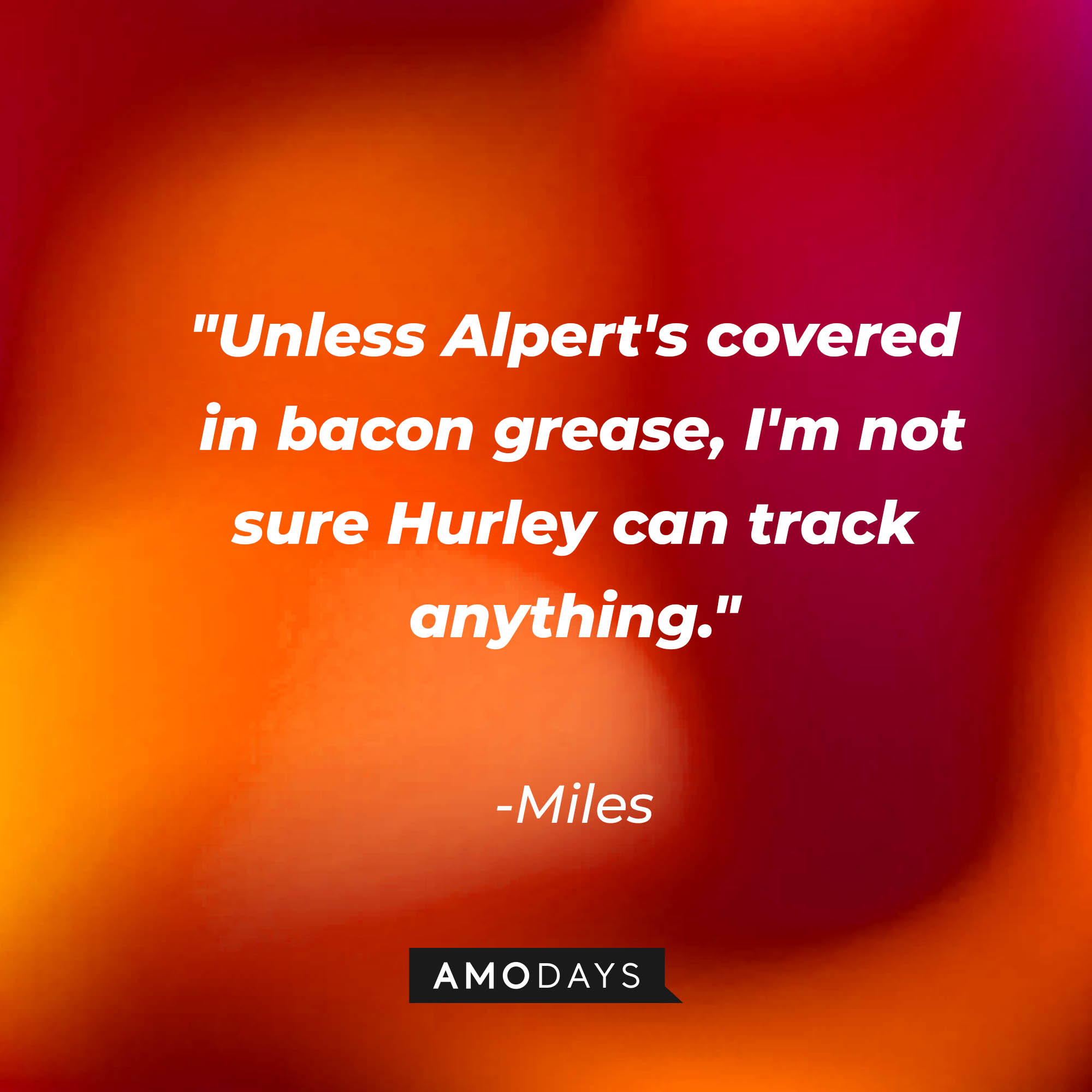Miles's quote: "Unless Alpert's covered in bacon grease, I'm not sure Hurley can track anything." | Source: AmoDays