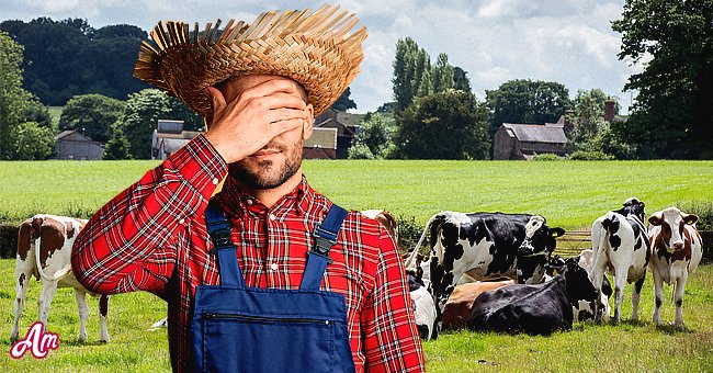 The farmer received a very surprising question about his animals. | Photo: Shutterstock