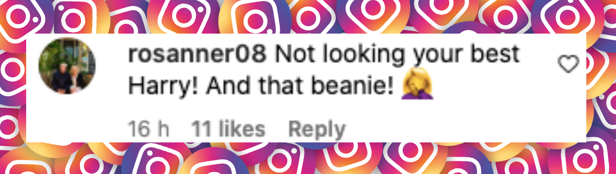 Netizen comment about Prince Harry, posted on May 15, 2025. | Source: Instagram/pagesix