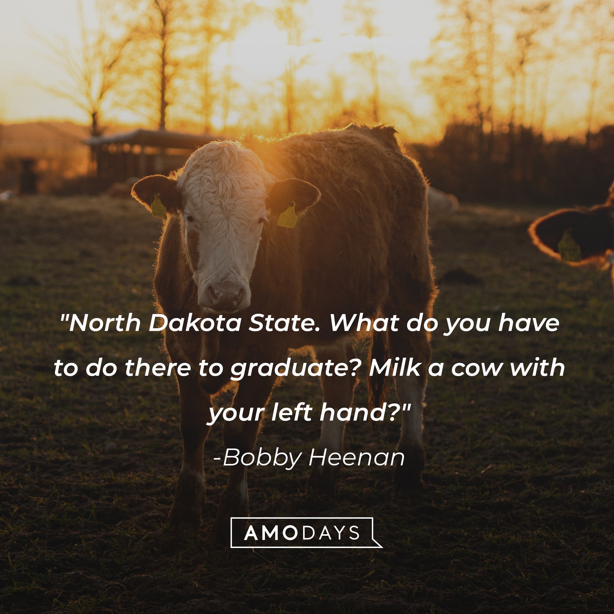 Bobby Heenan’s quote: "North Dakota State. What do you have to do there to graduate? Milk a cow with your left hand? | Image: AmoDays