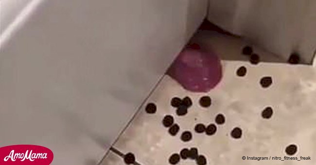 Bizarre footage of dog licking up snacks on the floor from another room through closed door