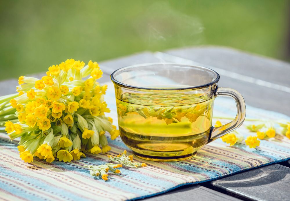 A cup of Primula veris tea served outdoor. | Source: Shutterstock