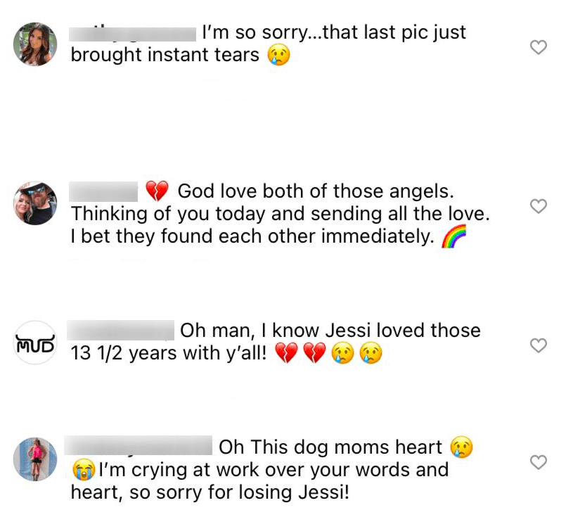 Fans comment on Miranda Lambert’s post sharing their condolences on July 29, 2021 | Photo: Instagram/mirandalambert