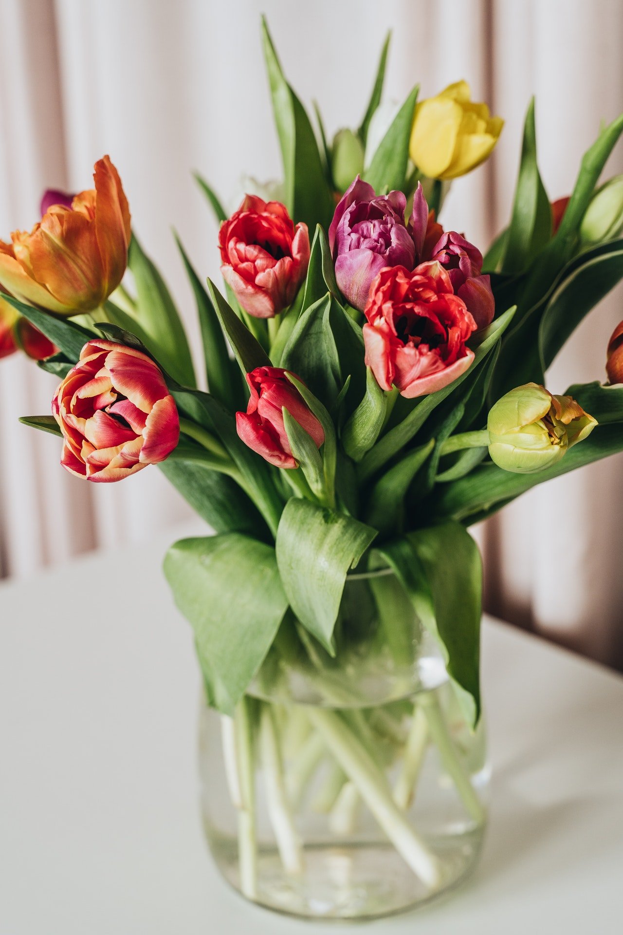 He came back from Miami with gifts and flowers for Clara. | Source: Pexels