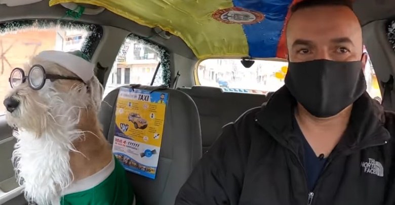 El perro y su amo viajan en el taxi. | Foto: Captura de pantalla de YouTube/El Tiempo 