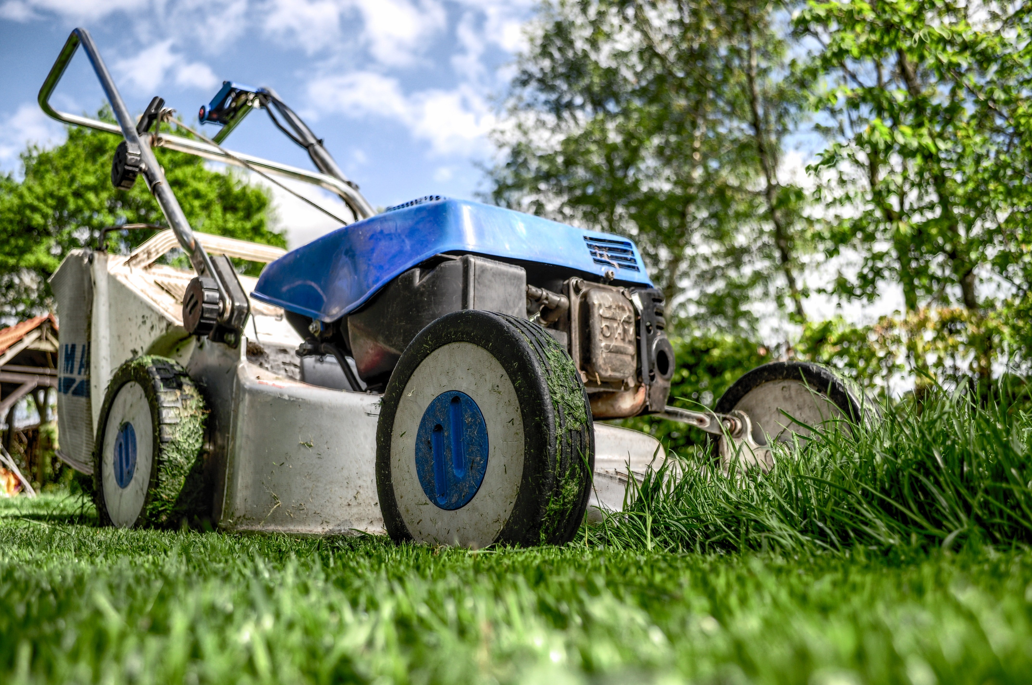 A lawn mower | Photo: Pixabay