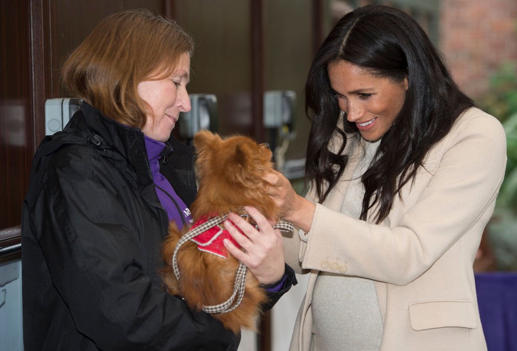 Meghan, Duchess of Sussex meets a dog named "Foxy" during her visit to the animal welfare charity Mayhew in London on January 16, 2019. | Source: Getty Images