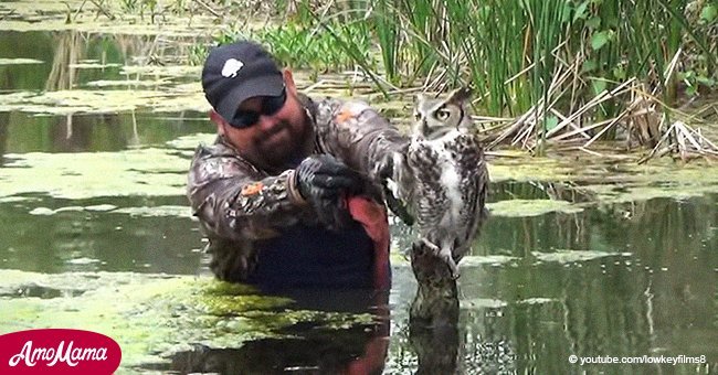 Frightened owl released from trap, but bird's reaction is amazing 