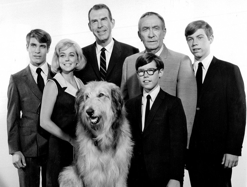 The cast of "My Three Sons" in 1967. From left, back: Don Grady, Tina Cole, Fred MacMurray, William Demerest, Stanley Livingston. Front from left: Tramp and Barry Livingston | Source: Wikimedia Commons