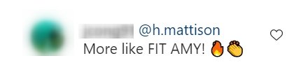 A fan's comment about Rebel Wilson's Instagram post | Photo: Instagram/rebelwilson