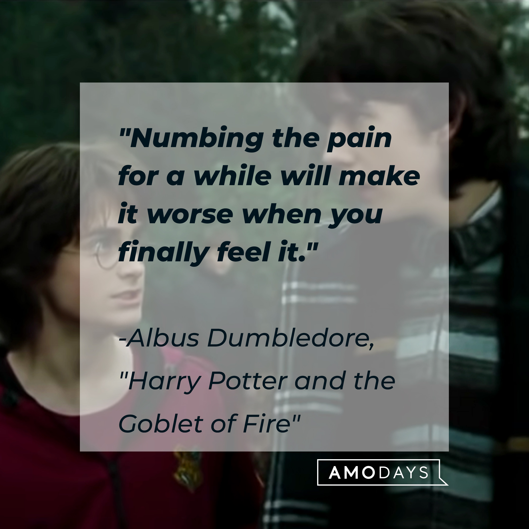 Neville Longbottom with his Albus Dumbledore's quote: "Numbing the pain for a while will make it worse when you finally feel it." | Source: Facebook.com/harrypotter