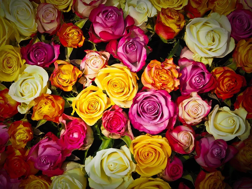 A bouquet of flowers. | Photo: pixabay.com