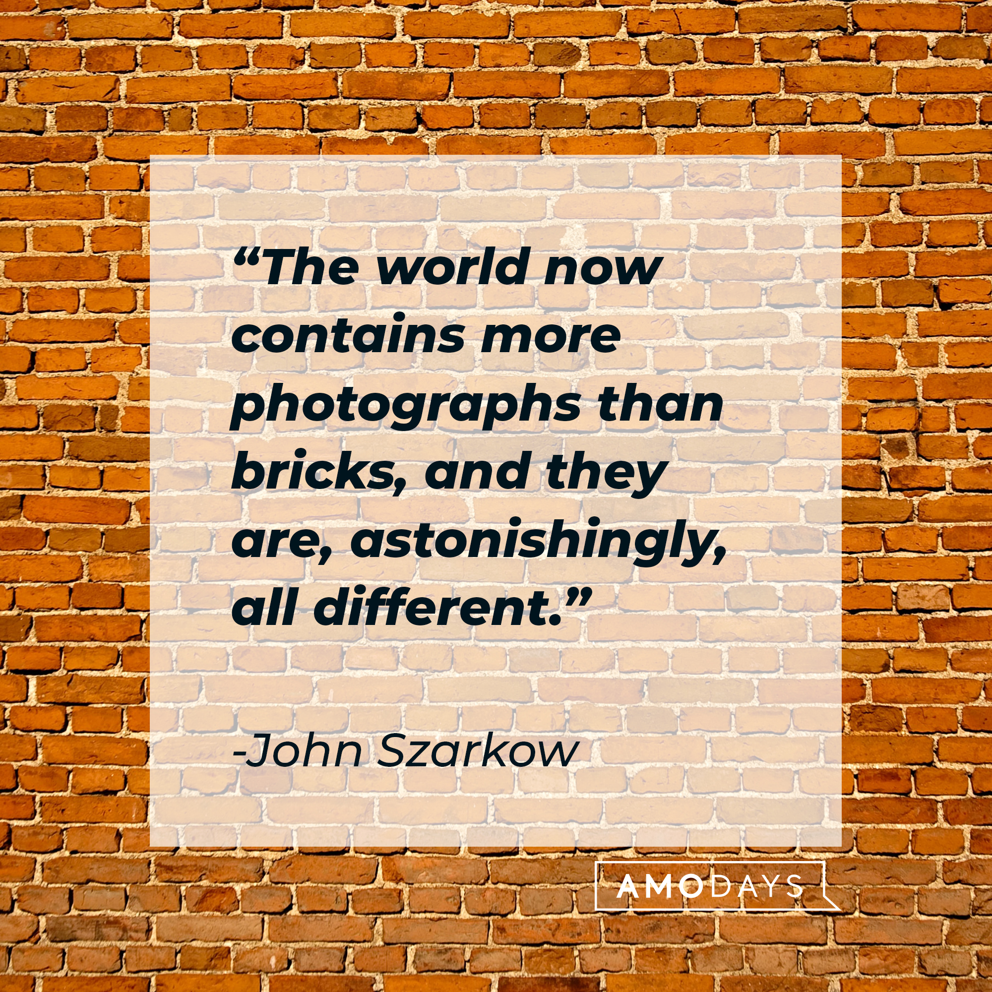John Szarkow's quote: "The world now contains more photographs than bricks, and they are, astonishingly, all different." | Source: Unsplash